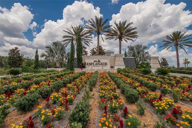 4795 Freccia Loop, House other with 3 bedrooms, 3 bathrooms and null parking in WESLEY CHAPEL FL | Image 63