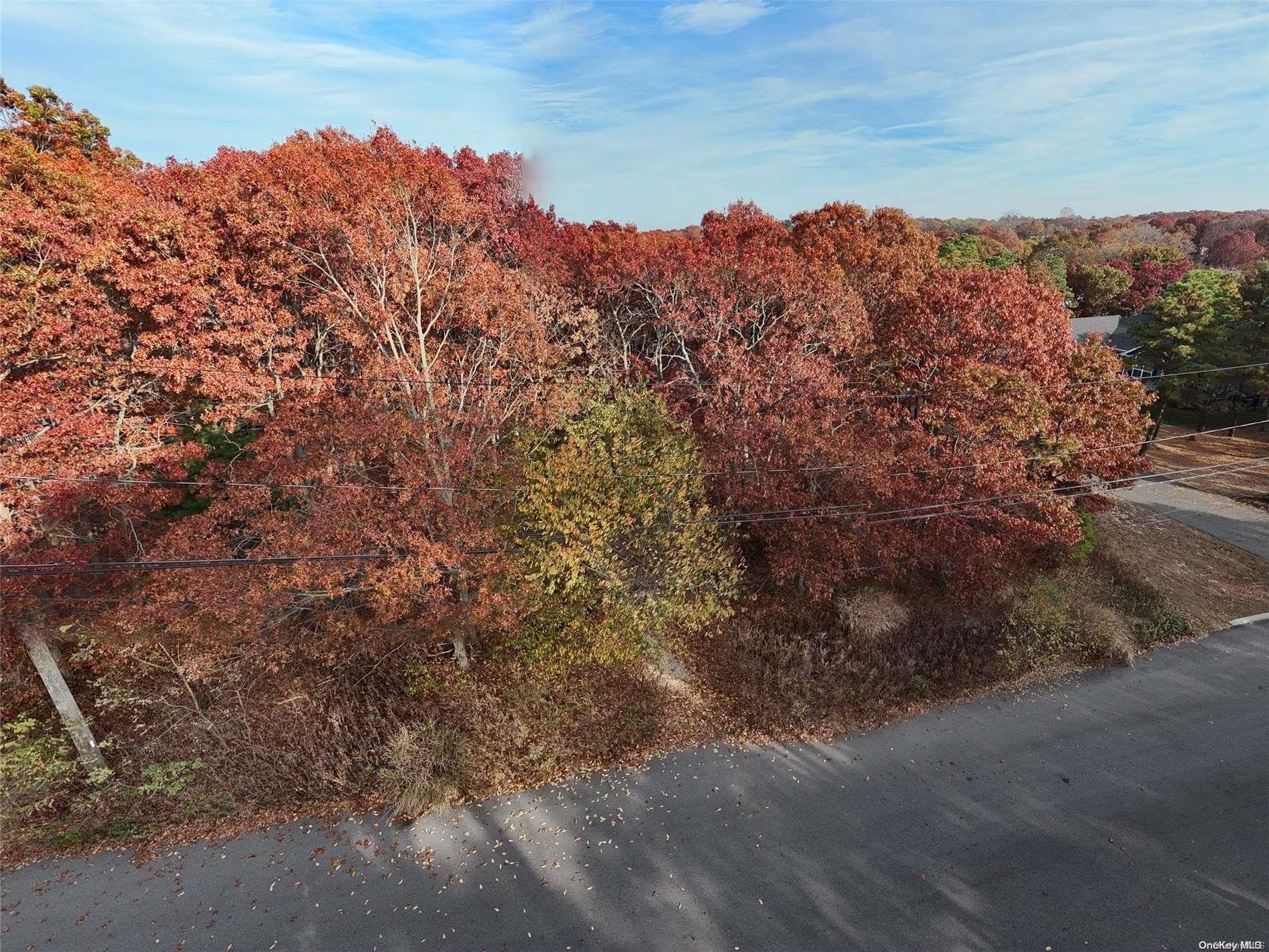 Land in Brookhaven 3