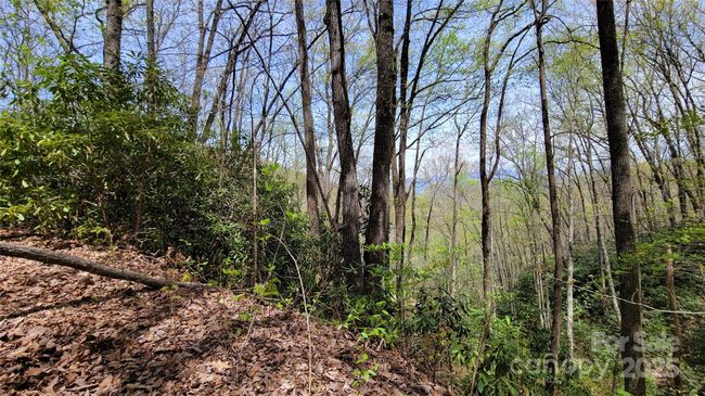 27 - 27 Lacy Fern Rdg, Home with 0 bedrooms, 0 bathrooms and null parking in Sylva NC | Image 16