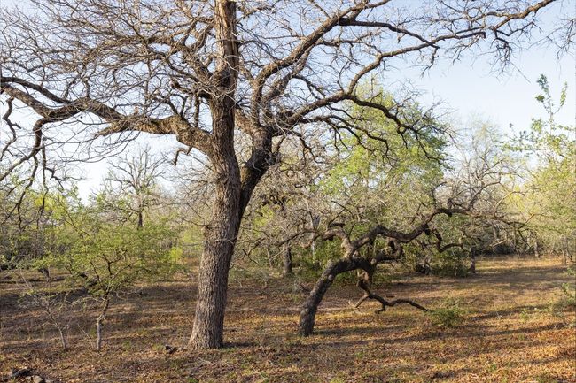 View of landscape | Image 34