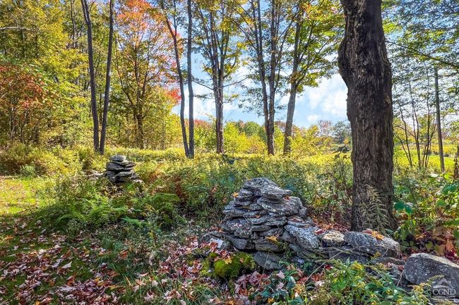 11441184 Hollister Hill Rd, House other with 6 bedrooms, 5 bathrooms and null parking in Delhi NY | Image 93