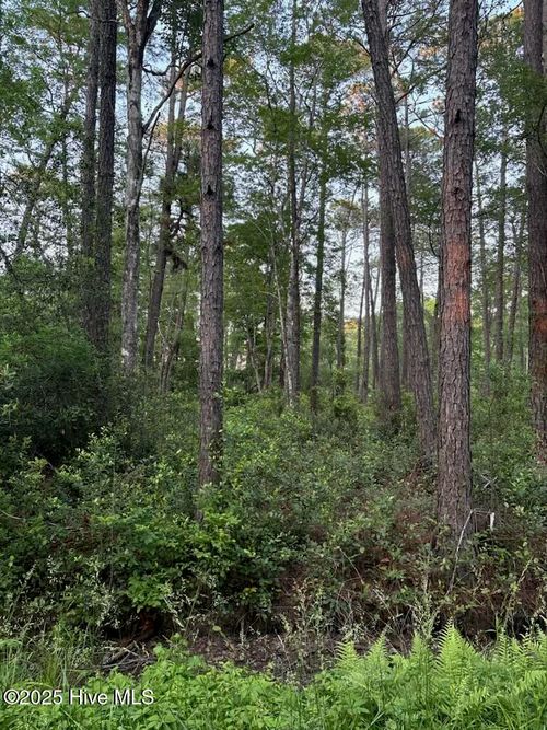 3 Thicketwood Dr, Calabash, NC, 28467 | Card Image