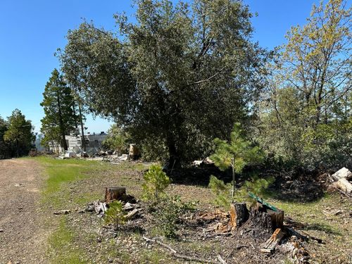 9809 Wildrose Ln, Coulterville, CA, 95311-9557 | Card Image