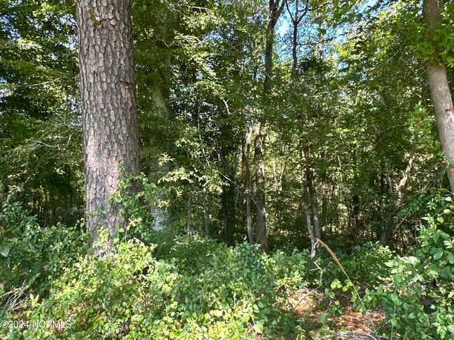 322 Summerfield Rd, Home with 0 bedrooms, 0 bathrooms and null parking in Ernul NC | Image 13