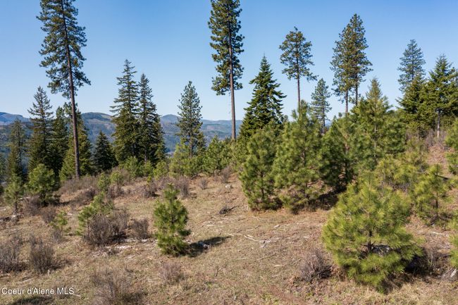 262 North Side Road, Home with 0 bedrooms, 0 bathrooms and null parking in Calder ID | Image 42