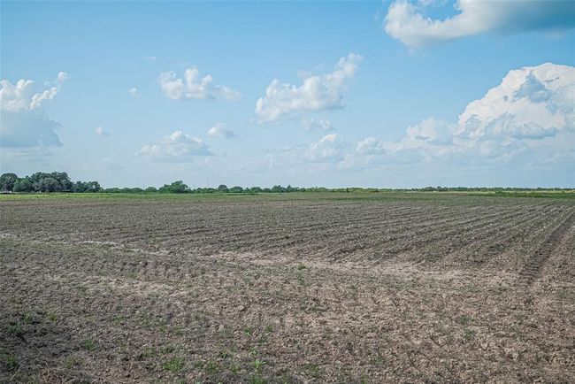 00 Johnston Rd, Home with 0 bedrooms, 0 bathrooms and null parking in Wallis TX | Image 8