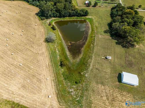 tbd County Road 1759, Baileyton, AL, 35019 | Card Image