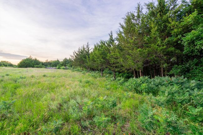 925 Walter Stephenson Rd, Home with 0 bedrooms, 0 bathrooms and null parking in Midlothian TX | Image 7