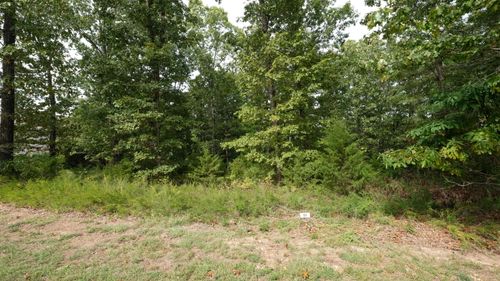 1173 Emory Creek Blvd, Branson, MO, 65616-7409 | Card Image