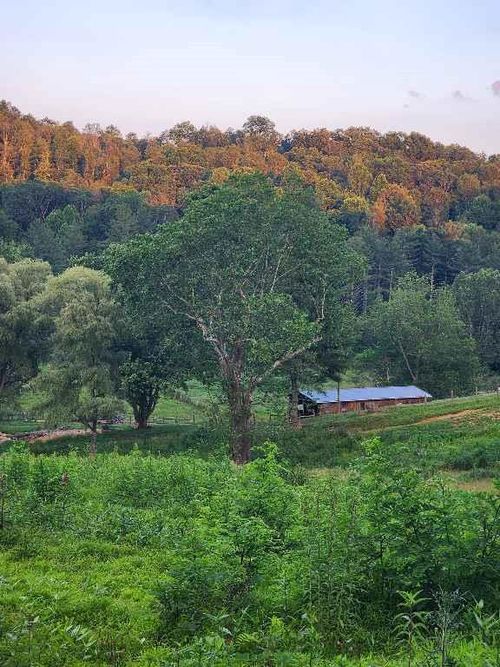 523 Home Place Ln, Troutdale, VA, 24378-2399 | Card Image