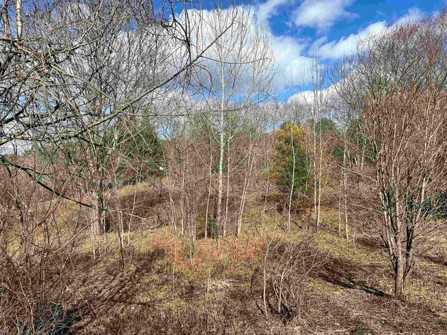9 Hodge Hill Rd, Home with 0 bedrooms, 0 bathrooms and null parking in Lisbon NH | Image 9