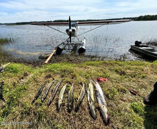 000 S Trapper Cir, Willow, AK, 99688 | Card Image