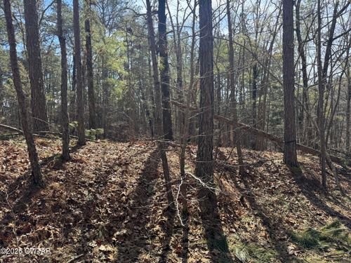 160 Oakgrove Rs Road, Middleton, TN, 38052 | Card Image