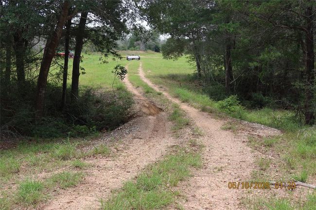 1584 Dungens Mill Rd, Home with 0 bedrooms, 0 bathrooms and null parking in Columbus TX | Image 17