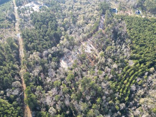 Lot 3 Livingston Parish, Livingston, LA, 70754 | Card Image