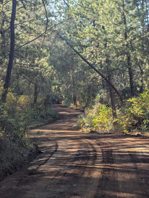 000 Seaman Gulch Rd, Bella Vista, CA, 96008 | Card Image