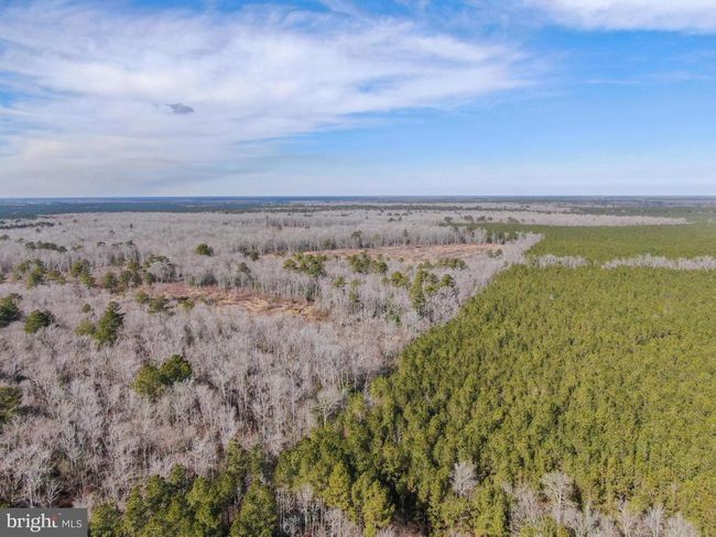 0 Follow Ditch Rd, Home with 0 bedrooms, 0 bathrooms and null parking in PRINCESS ANNE MD | Image 7