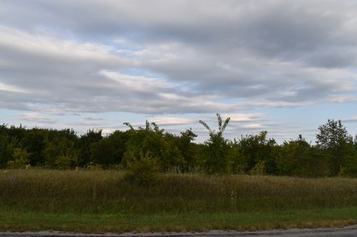 20880 N 800 East Rd, Graymont, IL, 61743-2052 | Card Image