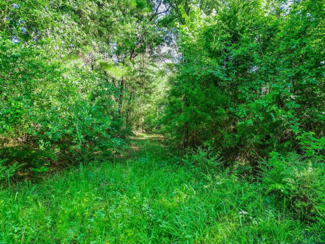 417 Walters Ln, Home with 0 bedrooms, 0 bathrooms and null parking in Jefferson TX | Image 5