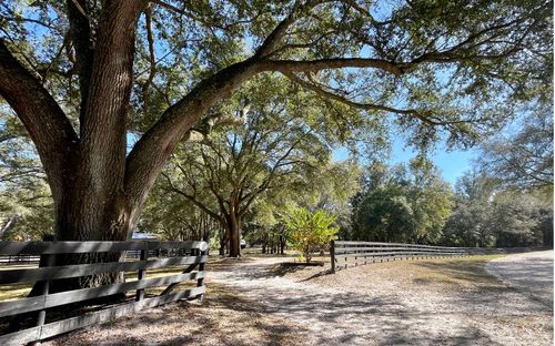 12550 160th Ter, Mc Alpin, FL, 32062-2348 | Card Image