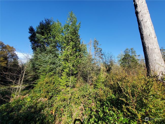 36602 Stackpole Rd, Home with 0 bedrooms, 0 bathrooms and null parking in Oysterville WA | Image 4