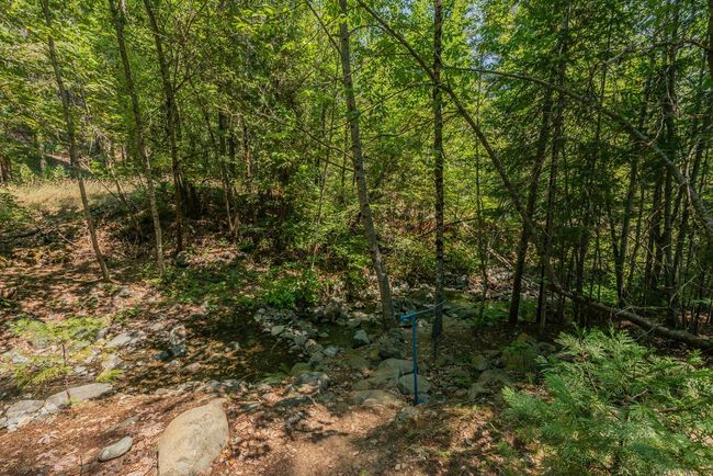 leading down to creek | Image 25