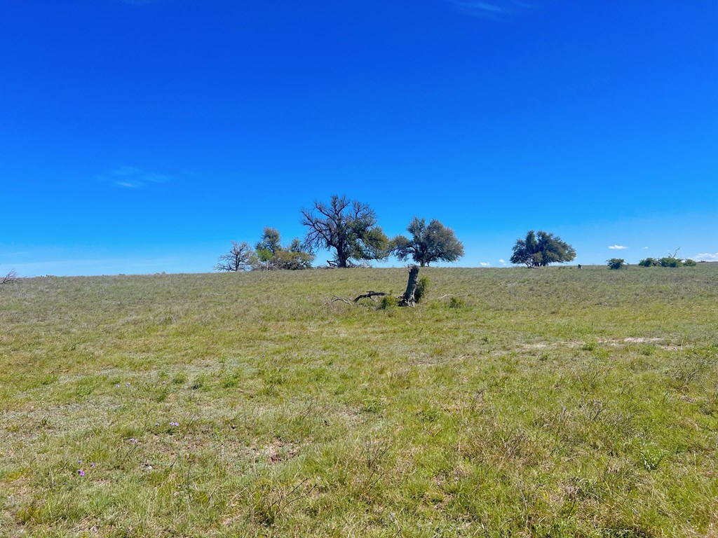 Land in Fredericksburg 5