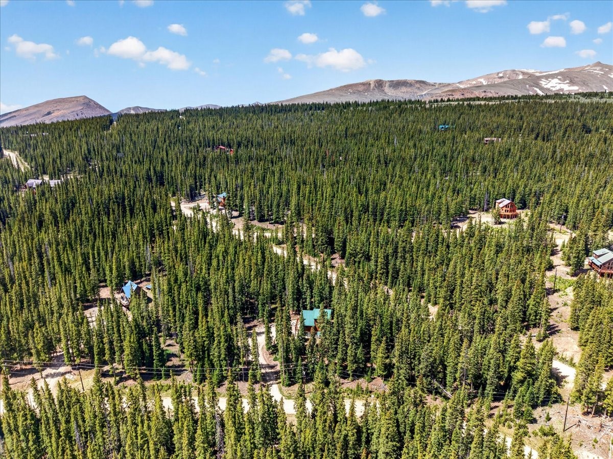 Residential in Fairplay 2