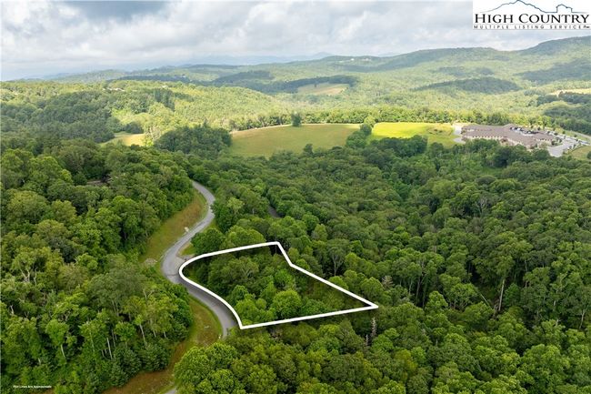 Lot 217 | Image 6