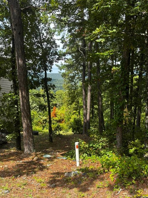 142 E Villena Dr, Hot Springs Village, AR, 71909-4405 | Card Image