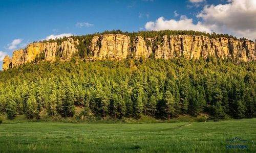 12726 Nemo Rd, Nemo, SD, 57759-7600 | Card Image