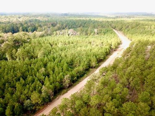 10 Cr 2310, Woodville, TX, 75979 | Card Image