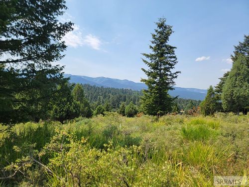L61 B4 Cutthroat Run, Irwin, ID, 83428 | Card Image