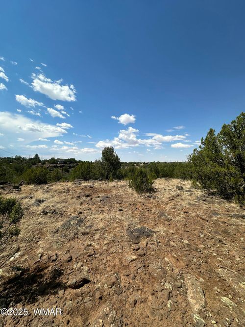 1776 Schad Pl, Show Low, AZ, 85901-8123 | Card Image