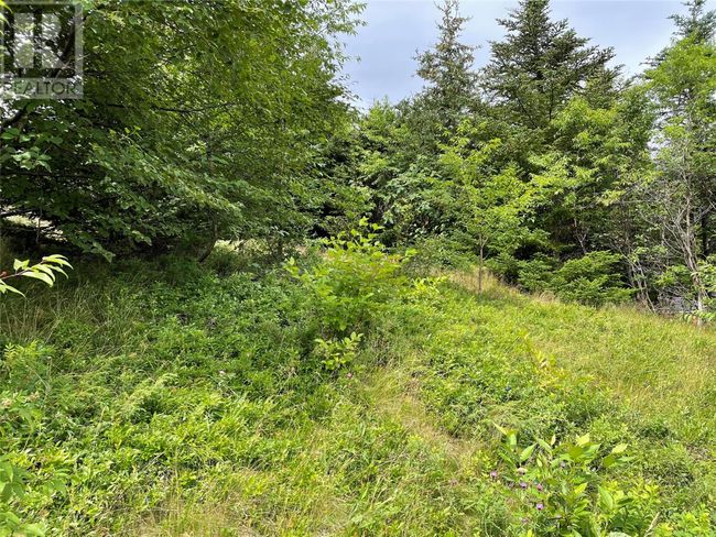 37-41 A Conception Bay Highway, Home with 0 bedrooms, 0 bathrooms and null parking in Harbour Main NL | Image 4