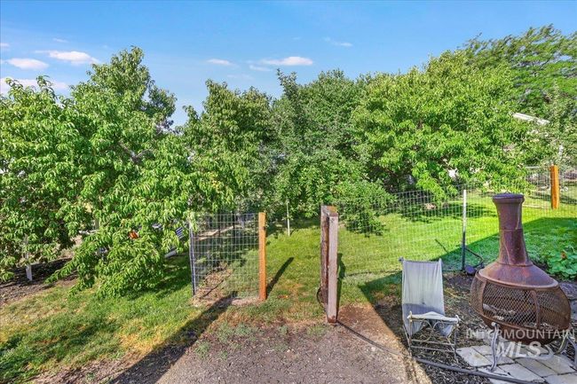 View of orchard with apple, pear, peach, and cherry trees. | Image 32
