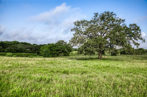 Tract 5 S Nassau Rd, Round Top, TX, 78954 | Card Image