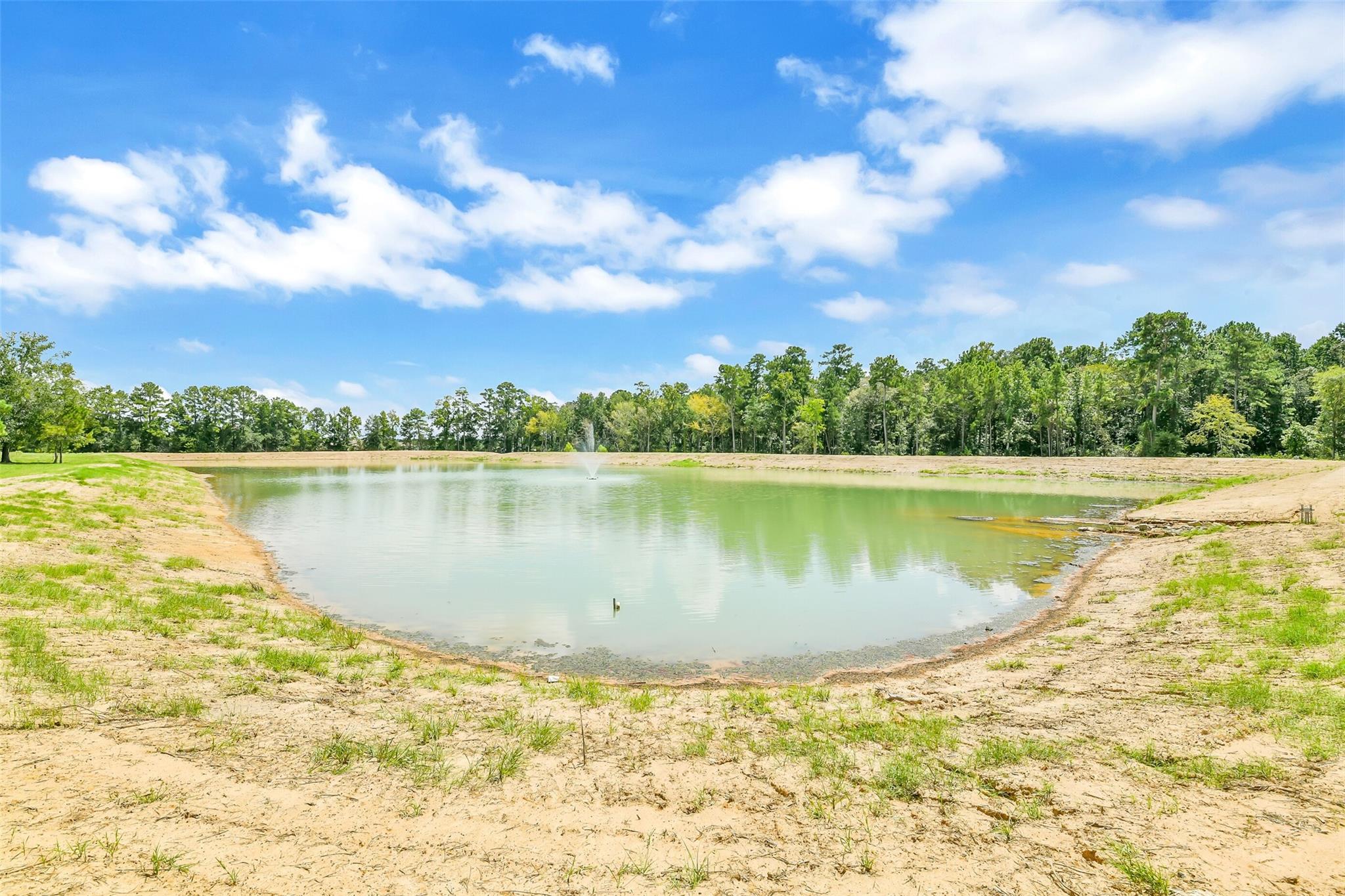Land in Hockley 4