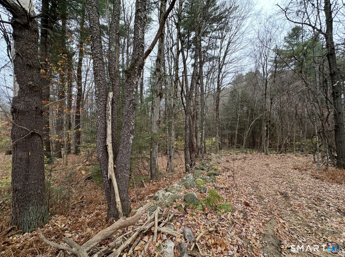 Land in Hartland 4