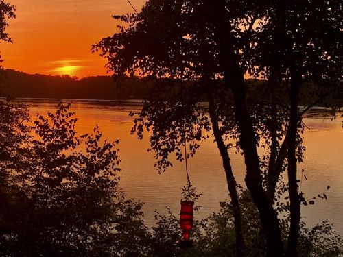 20854 Elmway Rd, Richmond, MN, 56368-8441 | Card Image