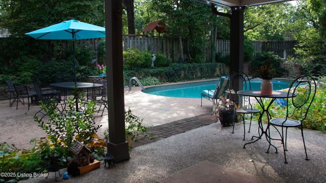 summer '24 | Image 52