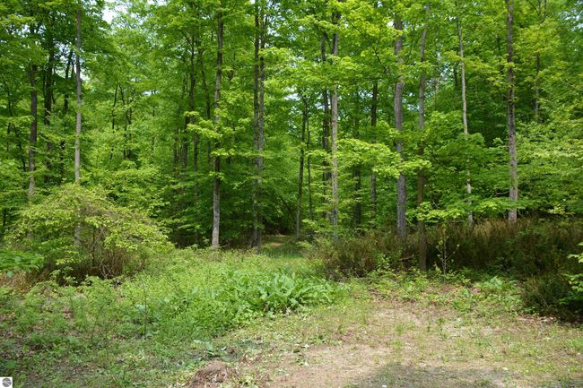 2481 S Schomberg Rd, House other with 3 bedrooms, 2 bathrooms and null parking in Lake Leelanau MI | Image 44