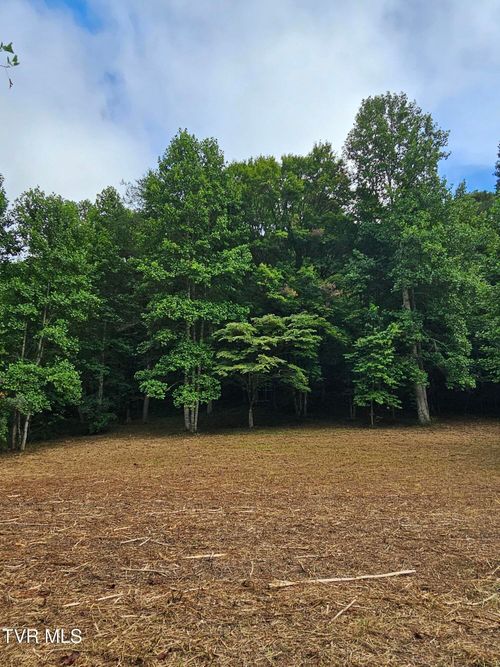 Tbd Caney Valley Rd, Surgoinsville, TN, 37873 | Card Image