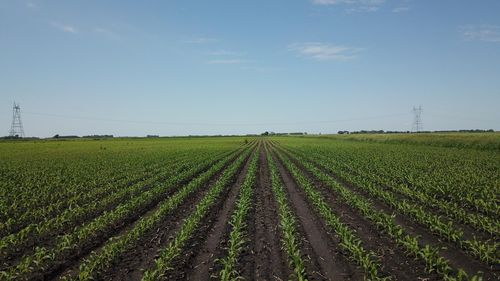 TBD T-182, Herman, MN, 56248 | Card Image