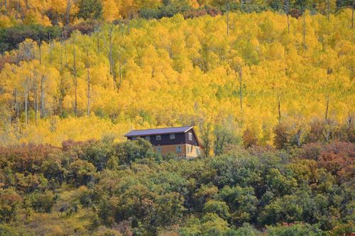 19645 Stoney Creek Rd, Hotchkiss, CO, 81419 | Card Image
