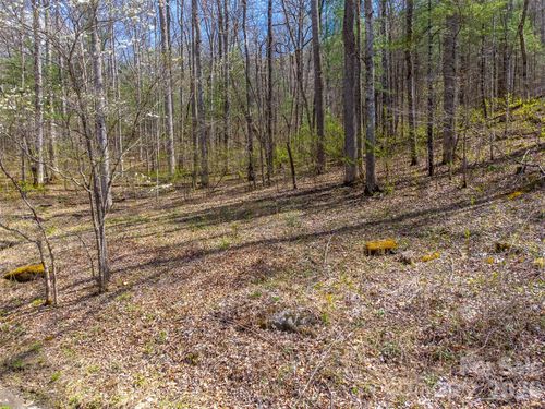 306 Cedar Creek Farm Road, Tuckasegee, NC, 28783 | Card Image