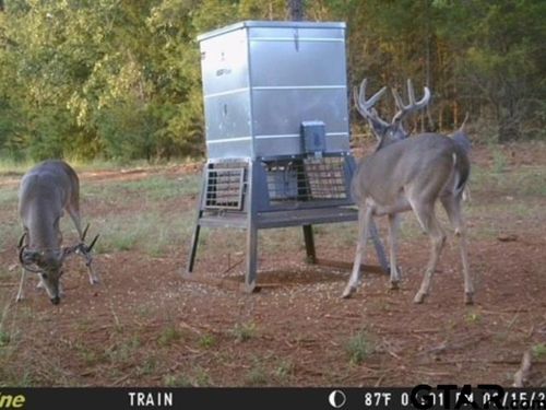 16092 County Road 440, Lindale, TX, 75771-5945 | Card Image