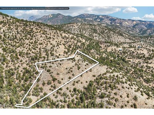 257 Wildlife Trl, Idaho Springs, CO, 80452 | Card Image