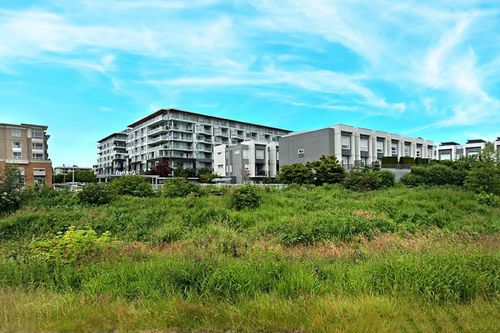 {{alt}} | Card Image