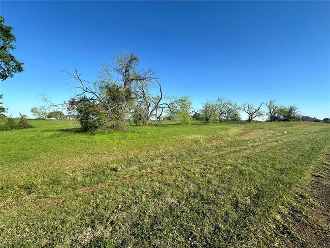 Lot 81 Moonlight Bay Court, Home with 0 bedrooms, 0 bathrooms and null parking in Streetman TX | Image 3